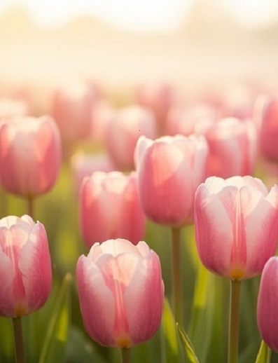 График работы в майские праздники