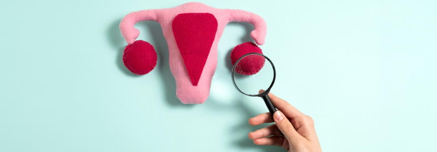 Гистология (биопсия) шейки матки Гистология (биопсия) шейки матки